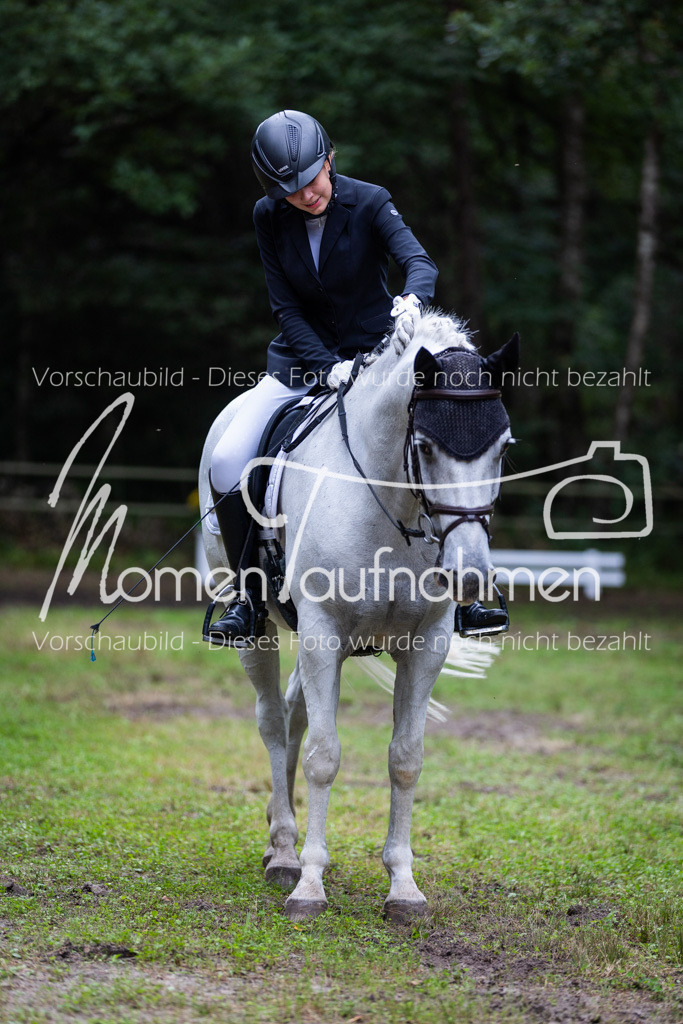 HB-A-Dressur-104 | MomenTaufnahmen Pferdesportfotos