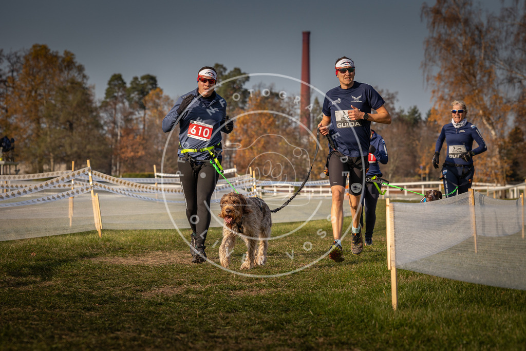 CaniXpix_0L8A0146 | Hundefotografie, Tierfotograf, Pfotenfotografie, Fotoshooting Hund, Hunde Portrait, Hundesport, Hundeportraits, Heideshooting, Hunde, Sportfotograf, Hundefotograf, Turnierhundsport, THS,  - Realisiert mit Pictrs.com