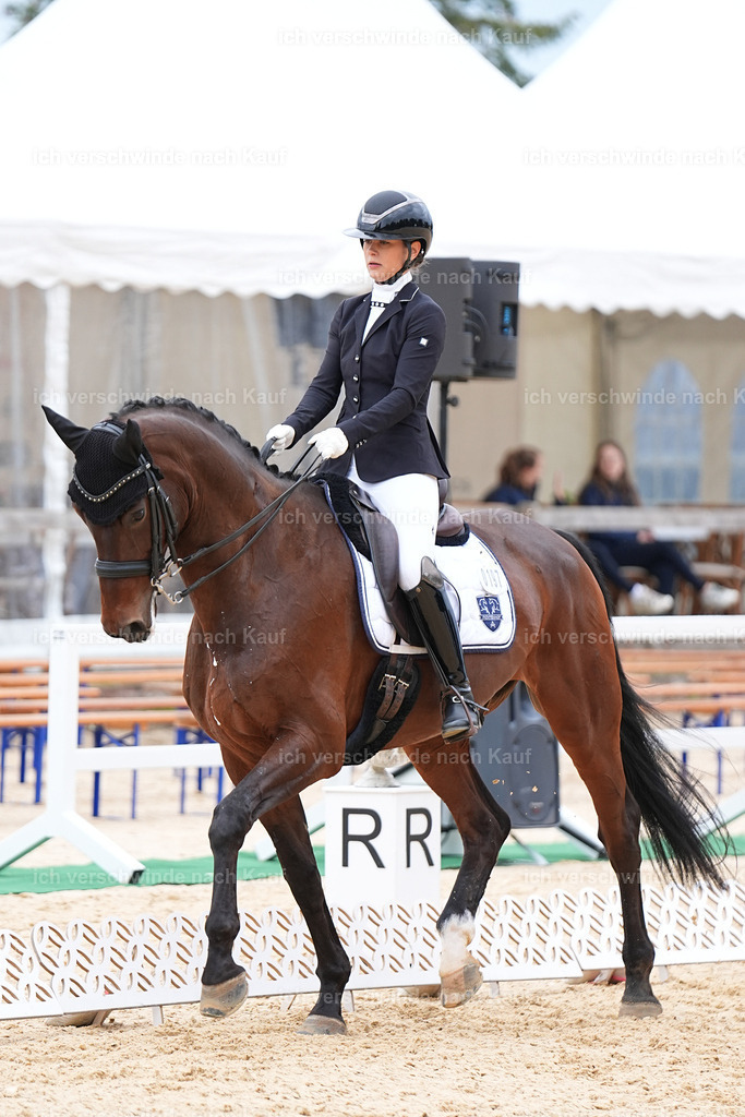 3-197-Dressur M_-Marixx-1949 | working equitationturnier fotograf videograf stoibphotography marixx film working equitation deutschland reitsport turnierfotografie eventfotografie equestrian events