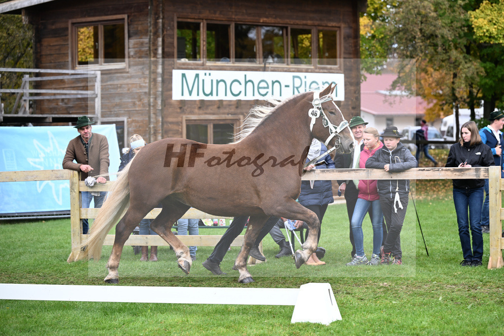 Kat-Nr. 46 Elisa v. Verry_Babel_41251127 | hf-fotografie - Realizzato con Pictrs.com