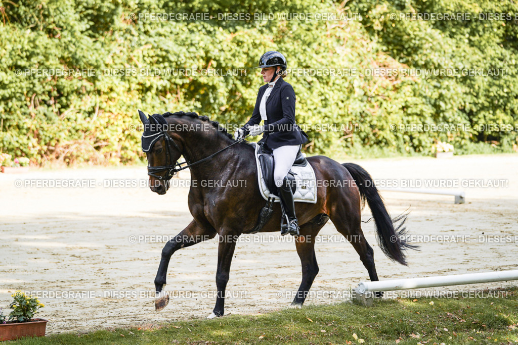 DSC07847 | Pferdegrafie