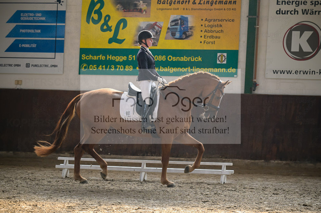 Reitturnier Voxtrup | Entdecke hochwertige Reitturnierfotos von Foto Oger. Professionell, emotional und authentisch – jetzt Lieblingsmomente im Shop bestellen.Deutschlandweite Turnierfotografie. - Realisiert mit Pictrs.com