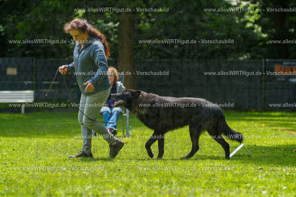 @allesWIRTHgut_Tierfotografie - www.allesWIRTHgut.de - 7R504725 | Professionelle Tierfotografie in Mönchengladbach von Daniel Wirth (allesWIRTHgut). Liebevolle & natürliche Bilder von Hunden & Katzen für unvergessliche Erinnerungen.