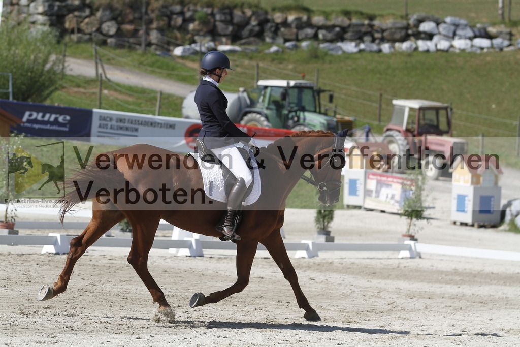 _MG_0691 | equestrian-live-com