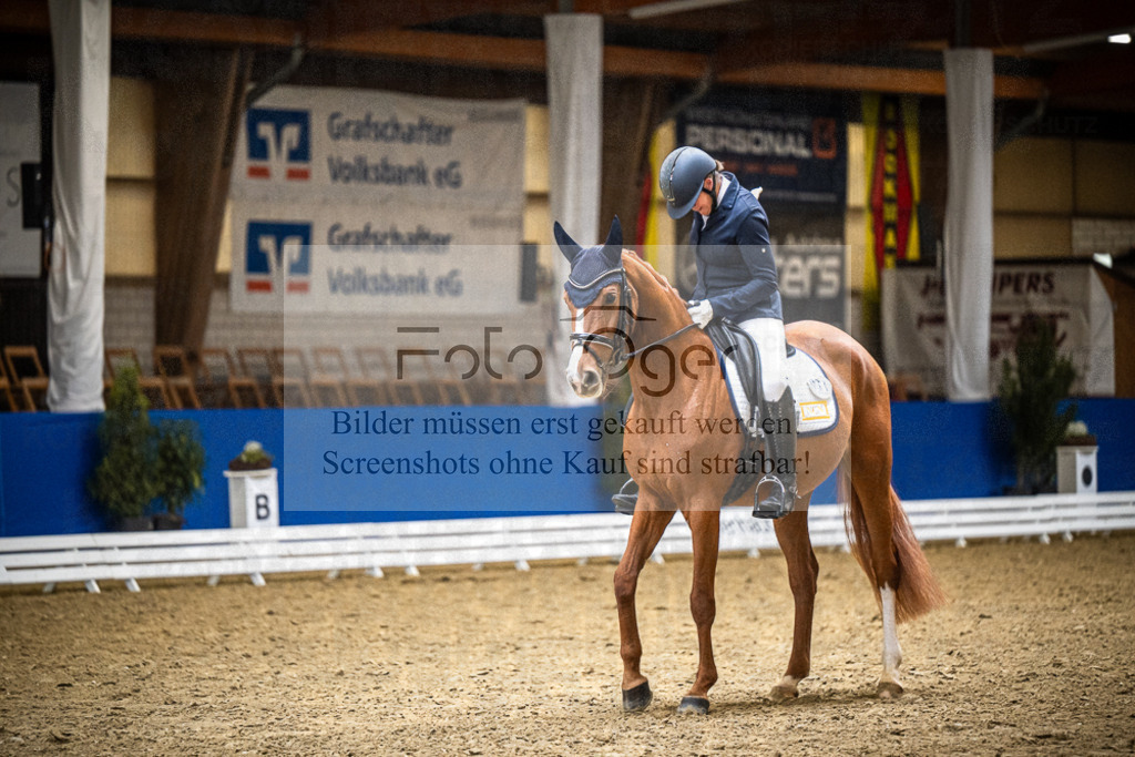 DOS_1949 | Entdecke hochwertige Reitturnierfotos von Foto Oger. Professionell, emotional und authentisch – jetzt Lieblingsmomente im Shop bestellen.Deutschlandweite Turnierfotografie. - Realisiert mit Pictrs.com
