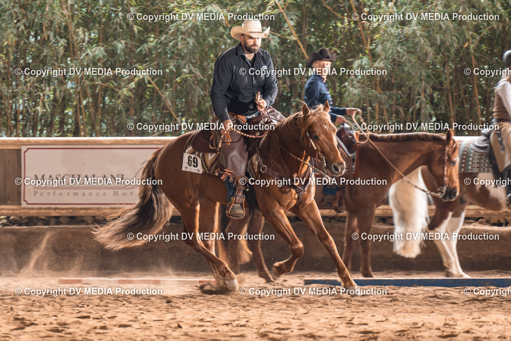 Erbach Tag 2-646 | dv-media-shop - Realisiert mit Pictrs.com