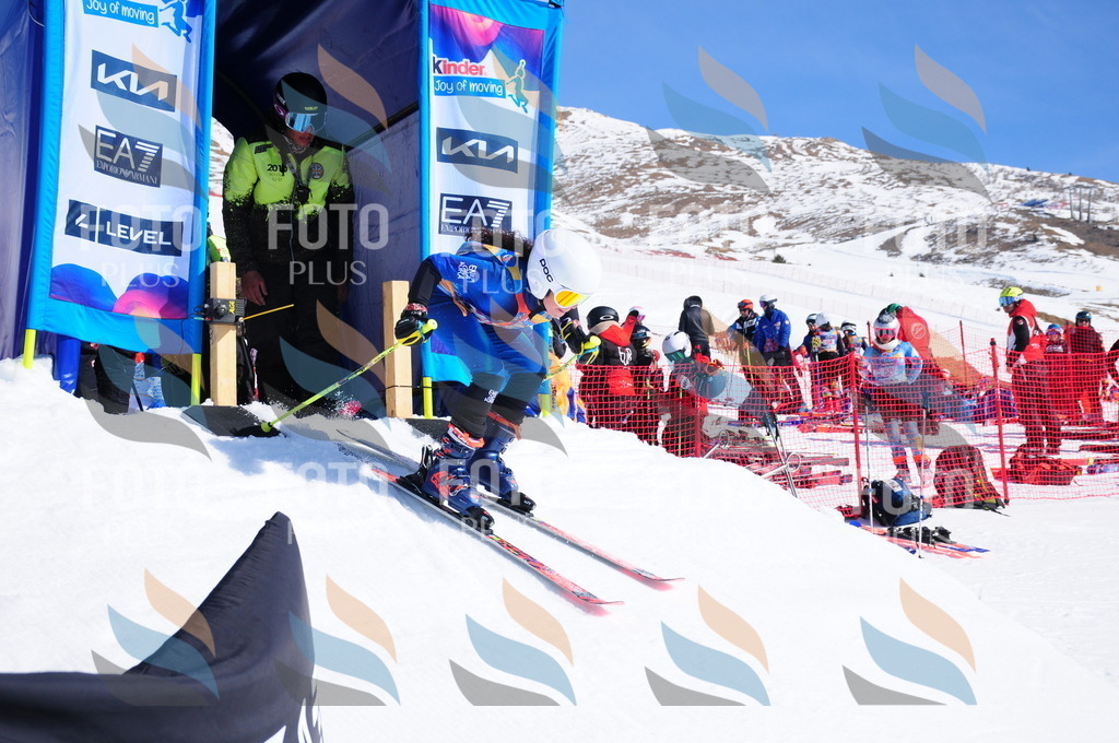 DSC_3878 | holidayphoto