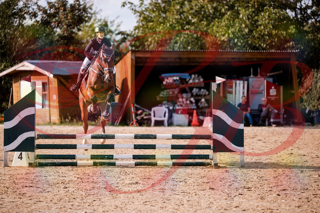 2026_10_03_Siefer-Hof_155604_Z81_75301596 | Professionelle Reitsport-, Turnier- und Eventfotografie von Robert Broda. Galerien mit ausgewählten und bearbeiteten Bildern direkt online ansehen und bestellen.
