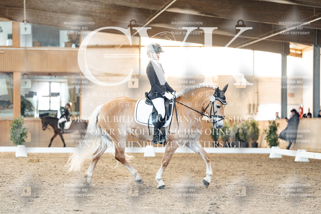 CK907055 | Turnierfotografie Pferdefotografie Trier Rheinland-Pfalz Pferdesport Reitsport Tierfotografie Sportfotografie Pferdevideo Pferdevideografie Equestrianvideography equestrianphotography  - Realisiert mit Pictrs.com
