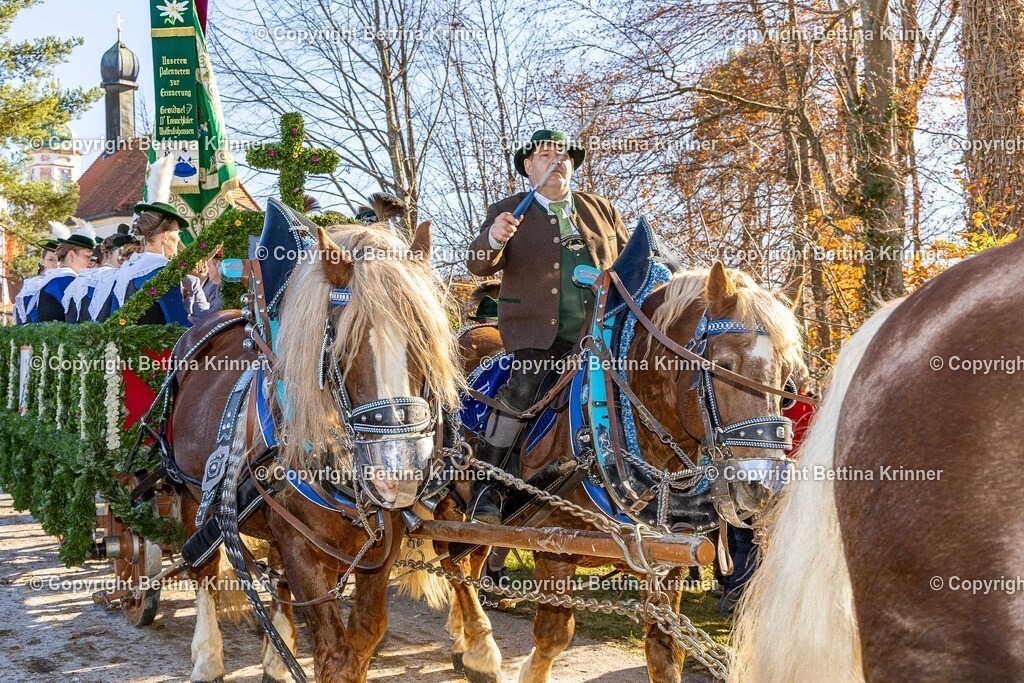 LBT25-1368 | foto-bettina-krinner - Realisiert mit Pictrs.com