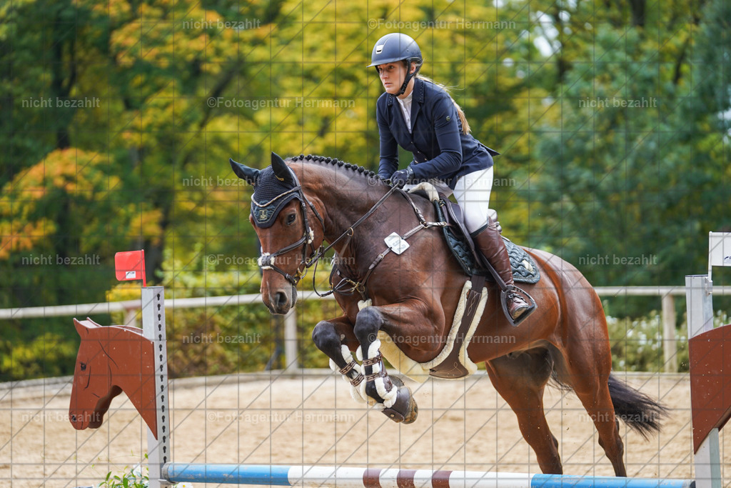 20221009-FAH08788 | Diessen am Ammersee, 2022, Dressur- und Springturnier, Reitsportbilder, Turnierfotografen Bayern, Pferdefotografen, Fotoagentur Herrmann, Turnierbilder