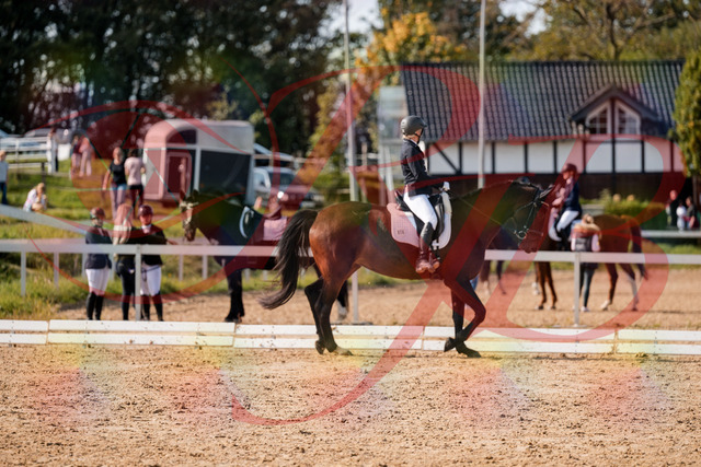 2026_10_03_Siefer-Hof_133610_Z63_96113835 | Professionelle Reitsport-, Turnier- und Eventfotografie von Robert Broda. Galerien mit ausgewählten und bearbeiteten Bildern direkt online ansehen und bestellen.