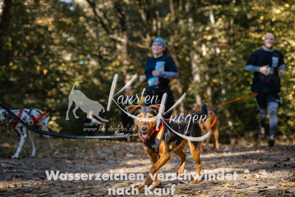 1124_ZZ92298 | kk-dogfotos