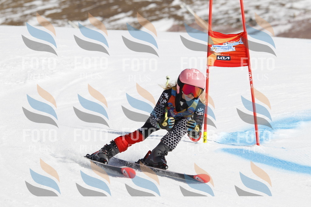 _U3G9637 | holidayphoto