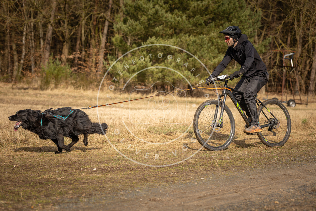 DV3A4403 | Hundefotografie, Tierfotograf, Pfotenfotografie, Fotoshooting Hund, Hunde Portrait, Hundesport, Hundeportraits, Heideshooting, Hunde, Sportfotograf, Hundefotograf, Turnierhundsport, THS,  - Realisiert mit Pictrs.com