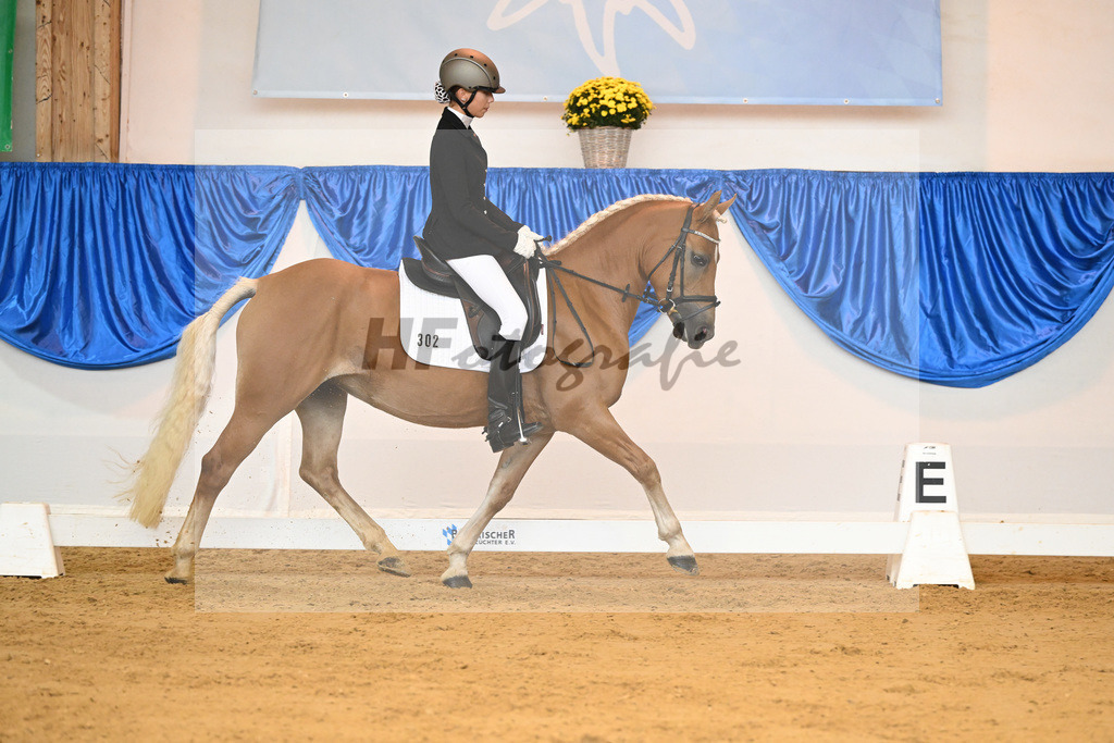 Kat-Nr. 302 Paloma_Mayer_54221857 | hf-fotografie - Realisiert mit Pictrs.com