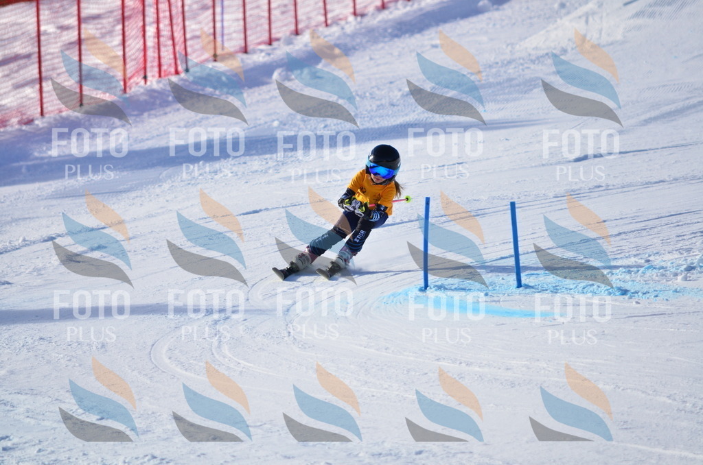 C5985 | holidayphoto