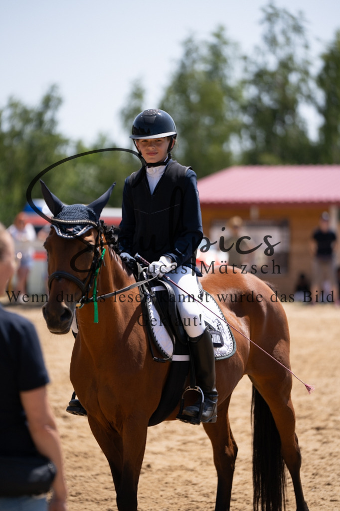 A7V08215 | Pferdefotograf