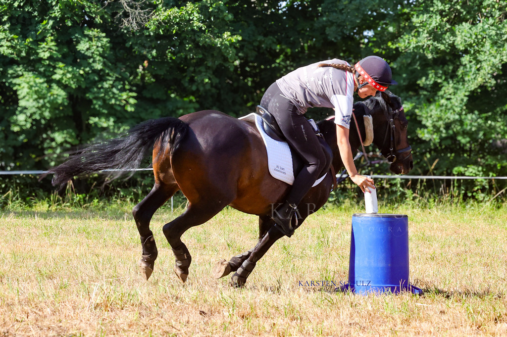 1B3A8086 | Reitsport Reiten