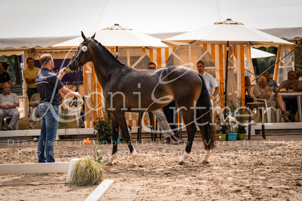 6.Fr00079 | Leoni Ertmer Photography - Realisiert mit Pictrs.com