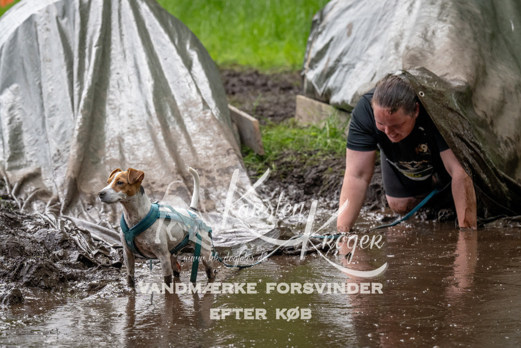 1508_ZZ91919 | kk-dogfotos