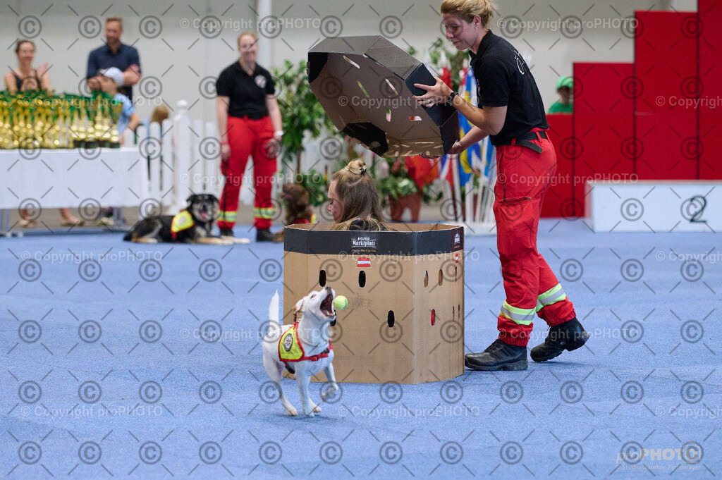 202406_ÖKV-IHA-Tulln24_DSC_3493 | proPHOTO - Realisiert mit Pictrs.com