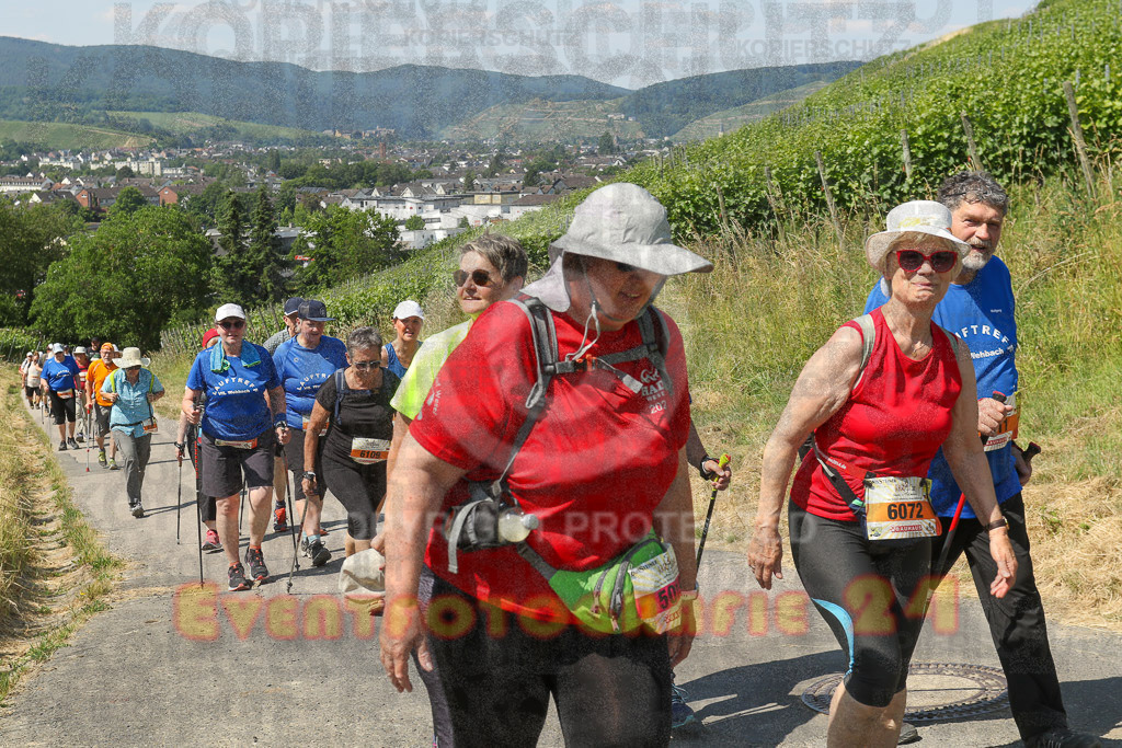 230617_1110_EV9_7794 | Sportfotografie im Rhein-Sieg Kreis, Köln, Bonn, NRW, Rheinland Pfalz, Hessen, etc. Unser Tätigkeitsfeld umfasst den Laufsport vom Volkslauf über den Marathon, Duathlon, Triathon bis zum Ultralauf wie Kölnpfad Ultra oder Schindertrail.