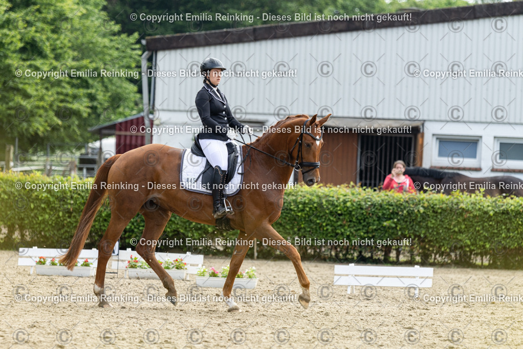 CL5A5000 | Emilia Reinking Fotografie - Realisiert mit Pictrs.com