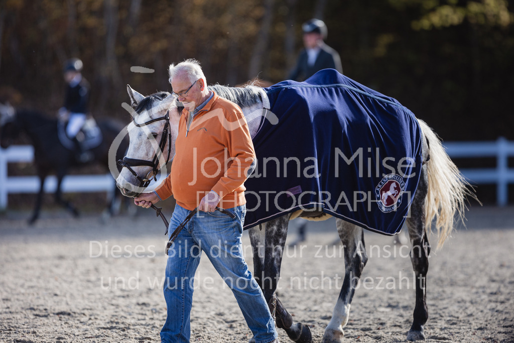 221112_Warstein_L-Spr-111 | Deine schönsten Turniermomente als professionelle Fotos! Entdecke hochwertige Pferdesport-Fotografie im Online-Shop. Jetzt Fotos finden & bestellen!