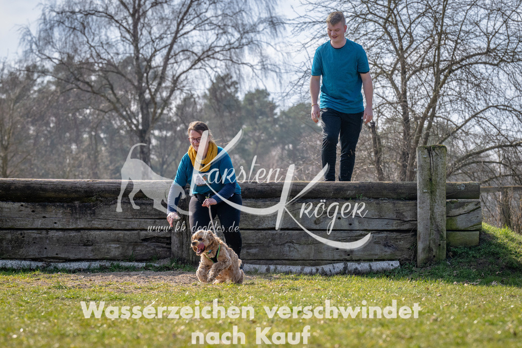 _ZZ91445 | kk-dogfotos