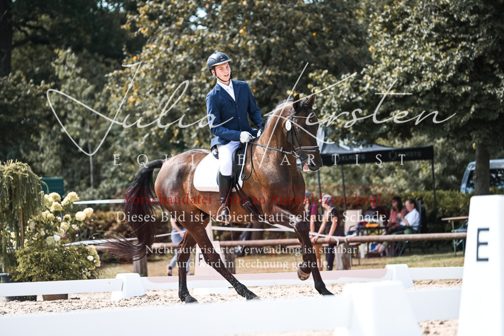 DSC_5434 | Pferde- und Turnierfotografie in Westsachsen. Pferdeportraits, Auftragszeichnungen und intuitive Kunst.