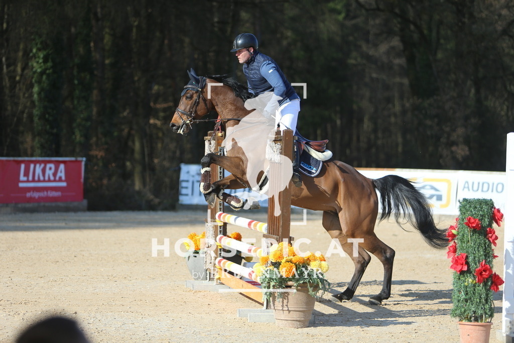 DL2Q7658 | Willkommen bei Brunnmayr - Design & Fotografie – Ihrem Spezialisten für Reitturniere und Pferdeveranstaltungen in Oberösterreich, Salzburg und Bayern! Seit über 17 Jahren sind wir leidenschaftlich dabei.