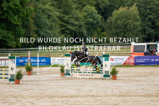 _62_9043 | larahueckfotografie