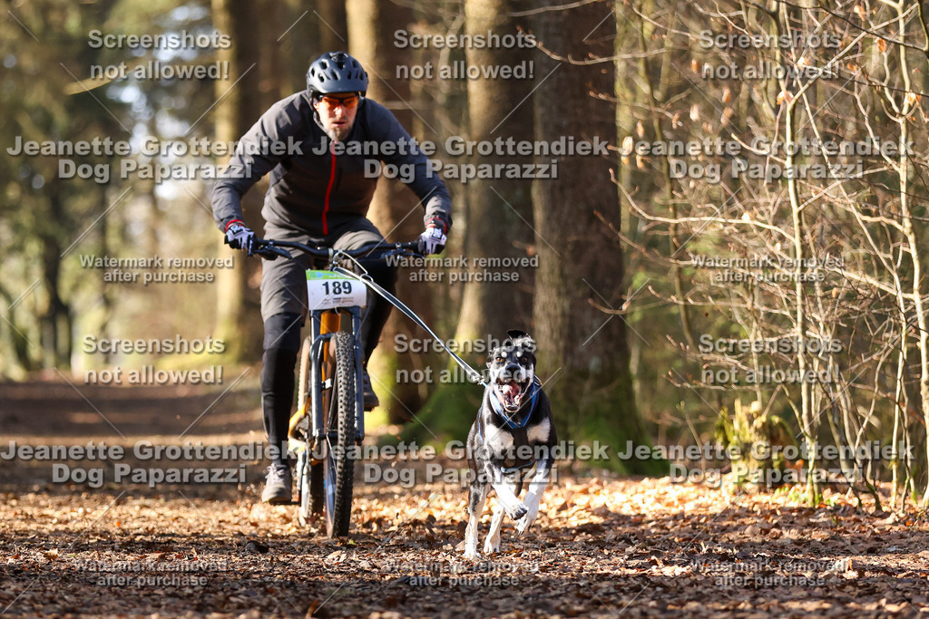 Dog Paparazzi - VCC26-955 | Dog Paparazzi Jeanette Grottendiek Fotografie & Videografie - Realisiert mit Pictrs.com