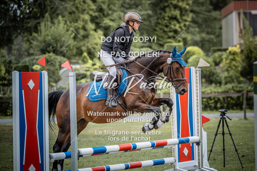 nelerasche_StilSpr60Ede_93 | nelerasche