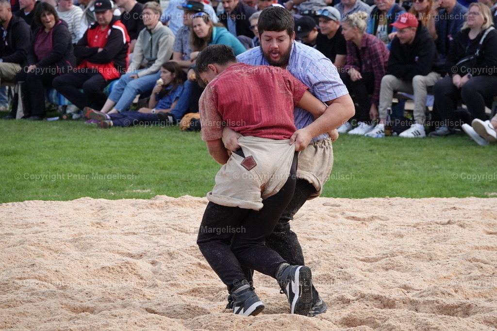DSC02029 | Schwingen - Realisiert mit Pictrs.com