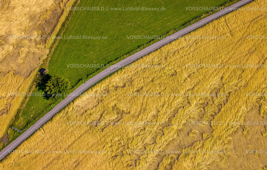 Witten230701484 | Luftbild, Getreidefelder Auf Steinhausen, nach Regen und Sturm, Bommern, Witten, Ruhrgebiet, Nordrhein-Westfalen, Deutschland