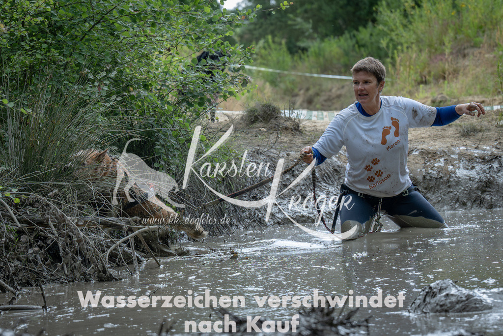 1411_ZZ91533-Verbessert-RR | kk-dogfotos