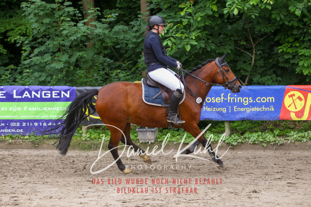 DKP45009 | Turnierfotos kaufen im Webshop von Daniel Kuhl Photography – entdecke professionelle Reitsportfotos aus Turnieren & Events. Hochwertige Turnierbilder online bestellen & sichern. Jetzt Fotos von Reitsportturnieren kaufen!