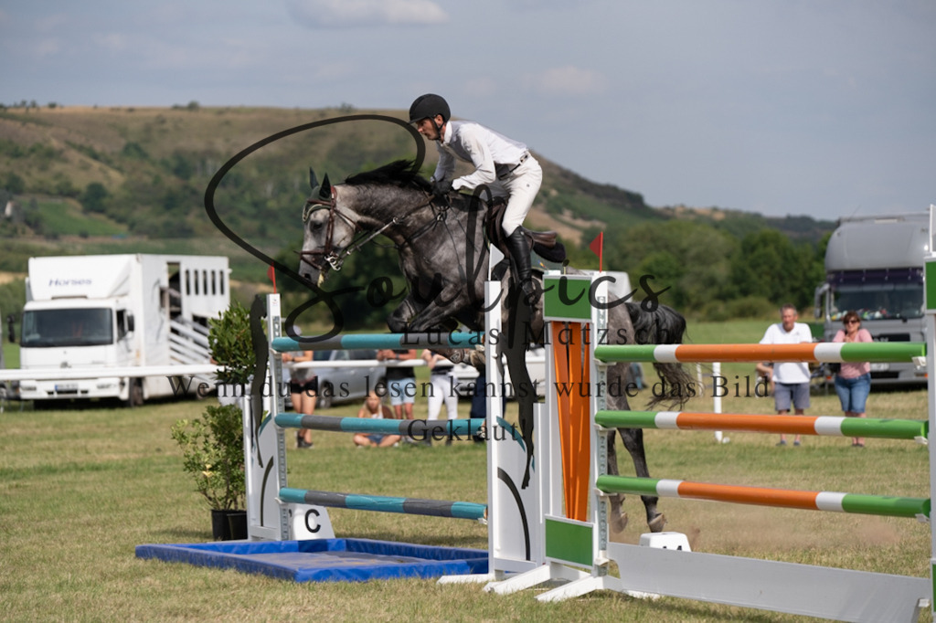 A7V02618 | Pferdefotograf