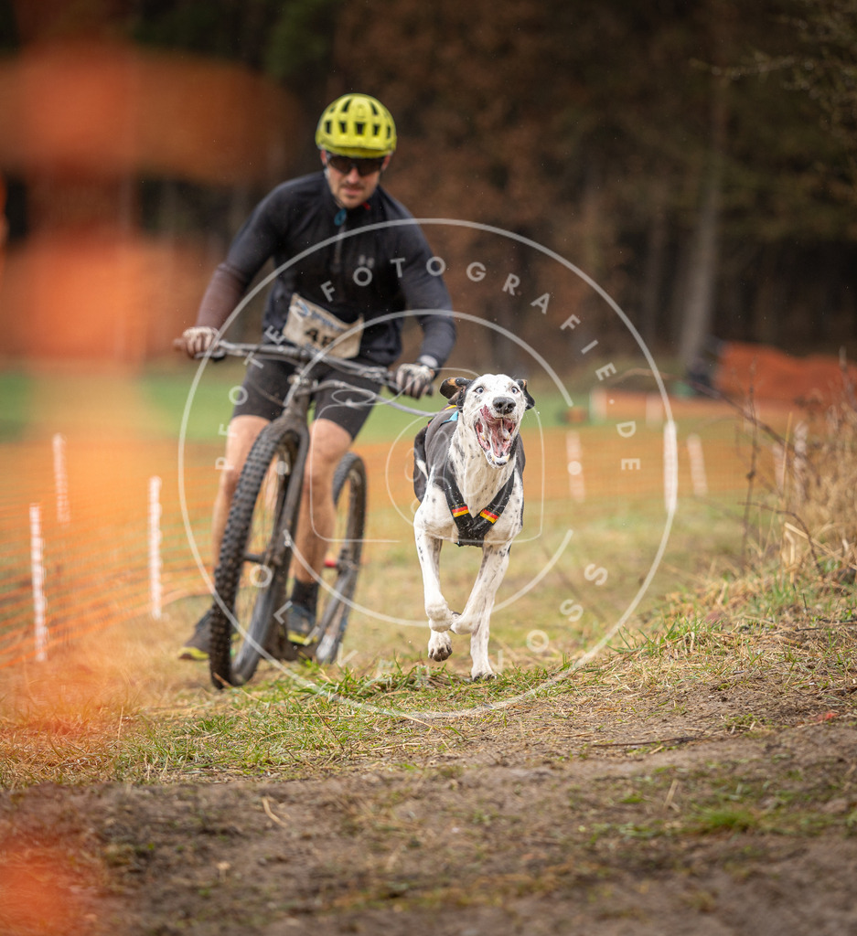 DV3A9399 | Hundefotografie, Tierfotograf, Pfotenfotografie, Fotoshooting Hund, Hunde Portrait, Hundesport, Hundeportraits, Heideshooting, Hunde, Sportfotograf, Hundefotograf, Turnierhundsport, THS,  - Realisiert mit Pictrs.com