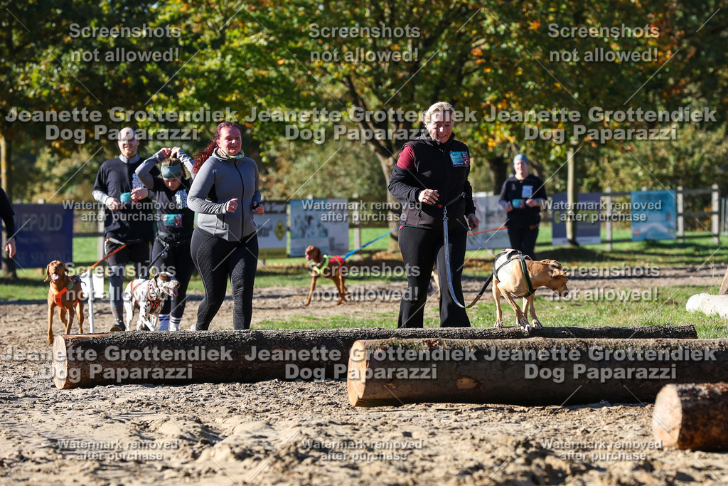 Dog Paparazzi - Strongdog 10-25-2123 | Dog Paparazzi Jeanette Grottendiek Fotografie & Videografie - Realisiert mit Pictrs.com