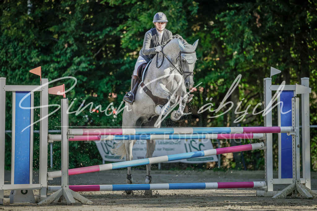 20250906-_3LI3253 | Tierfotografie Pferde, Hunde, Katzen, Haustiere.
Turnierfotografie Reitturniere, Reiten, Springreiten, Dressur in Hanau, dem Main-Kinzig-Kreis und dem Rhein-Main- Gebiet um Frankfurt