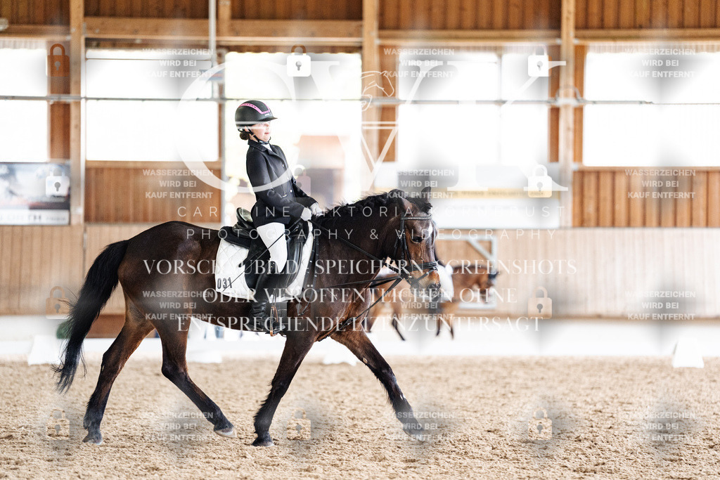 CK901328 | Turnierfotografie Pferdefotografie Trier Rheinland-Pfalz Pferdesport Reitsport Tierfotografie Sportfotografie Pferdevideo Pferdevideografie Equestrianvideography equestrianphotography  - Realisiert mit Pictrs.com