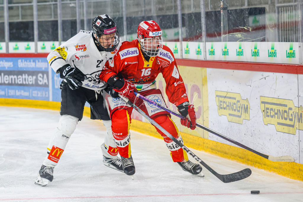 701A3146 | Sportbilder, Sportfotograf, Hochzeits- und Eventfotografin, Flugshows, Portraits und Tiershooting, Aviation, Downhill, Nationalleague, Swissleague, International