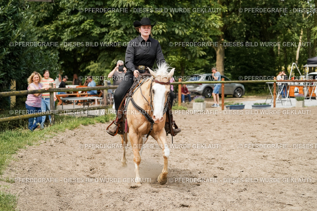 DSC09847 | Pferdegrafie