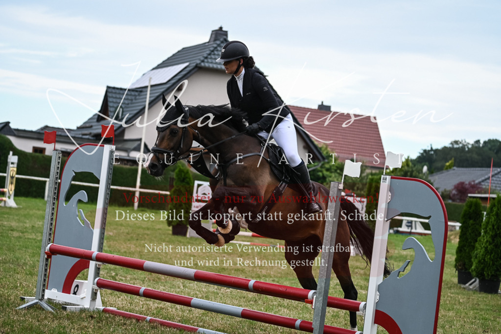DSC_8438 | Pferde- und Turnierfotografie in Westsachsen. Pferdeportraits, Auftragszeichnungen und intuitive Kunst.