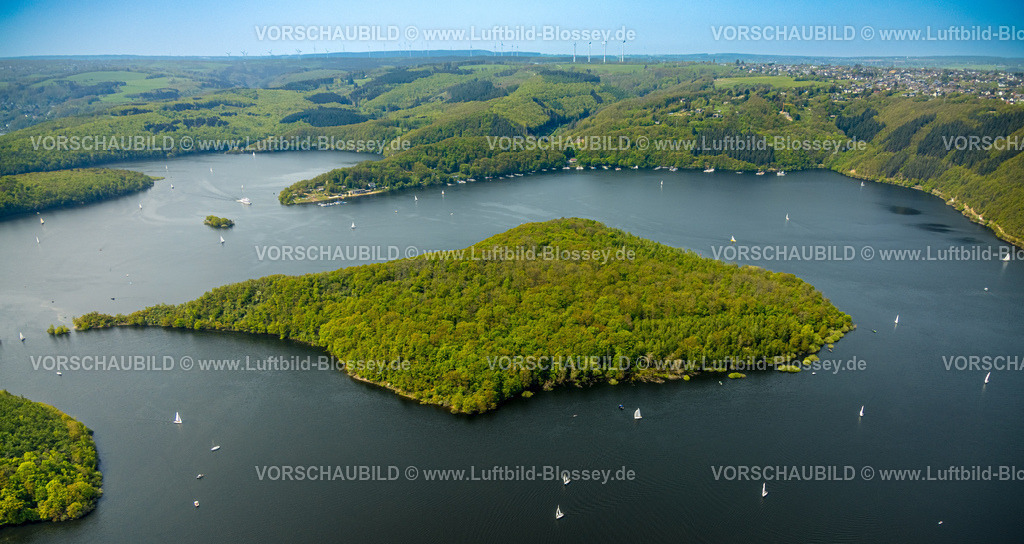 Heimrath240501871Rursee | Luftbild, Rursee mit Insel Eichert, Rurtalsperre Schwammenauel und Rursee-Schifffahrt mit Segelbooten, Waldgebiet Hügel und Täler, Nationalpark Eifel, Hasenfeld, Heimbach, Nordrhein-Westfalen, Deutschland