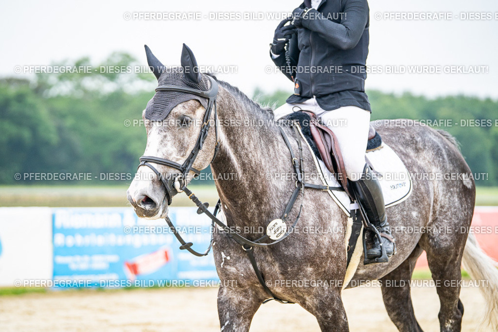 DSC00255 | Pferdegrafie