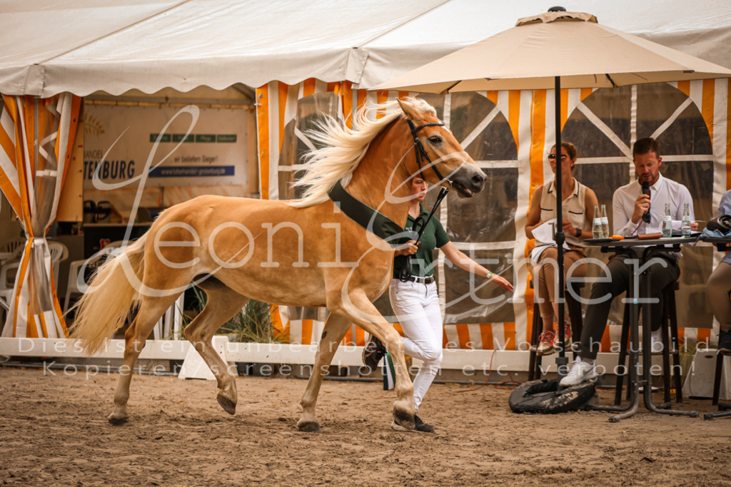 06.So00162 | Leoni Ertmer Photography - Realisiert mit Pictrs.com